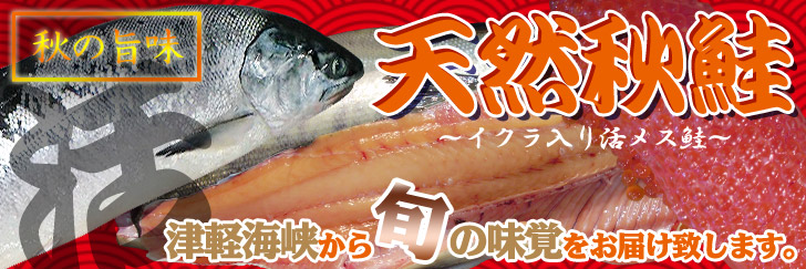 秋鮭・「秋の旨味」北海道と青森の間を流れる津軽海峡から旬の味覚をお届け致します。